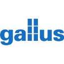 Gallus